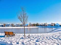 4: BillKirms_2025-363