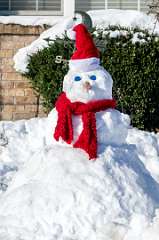 11: BillKirms_2025-370