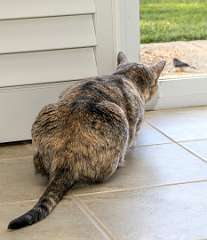 13: BillKirms_2025-372