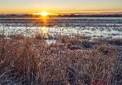 161: BillKirms_2026-20