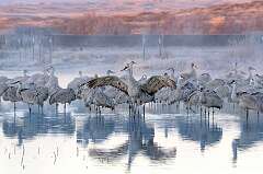 214: BillKirms_2026-21