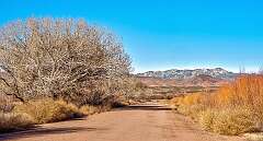 65: BillKirms_2026-24