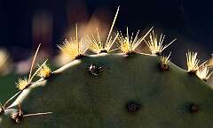 35: BillKirms_2026-28