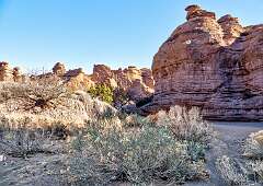 187: BillKirms_2026-35