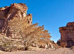 30: BillKirms_2026-36