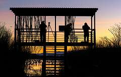 190: BillKirms_2026-43