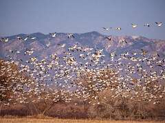 101: BillKirms_2026-44