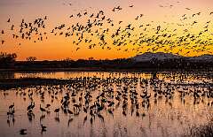 181: BillKirms_2026-45