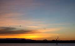 37: BillKirms_2026-46