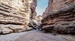 119: BillKirms_2026-48