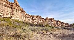 74: BillKirms_2026-49