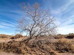 75: BillKirms_2026-50