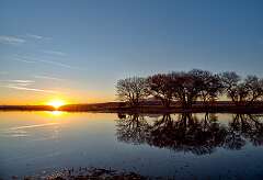 110: BillKirms_2026-51