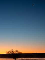 184: BillKirms_2026-52