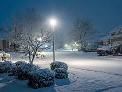 28: BillKirms_2026-61