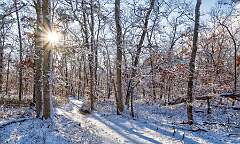 211: BillKirms_2026-62