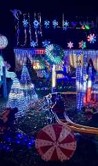 27: CarolAnnManfria_2025-55