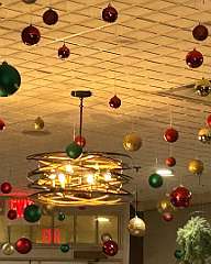 33: CarolAnnManfria_2025-61