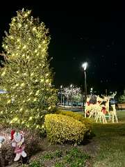 36: CarolAnnManfria_2025-64