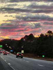 52: CeciliaRomano_2025-15