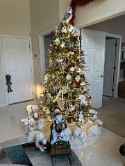 62: DarleneOstewik_2025-28