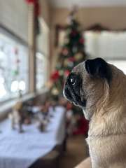 64: DarleneOstewik_2025-30