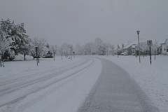 69: DonManfria_2025-307