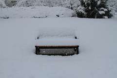 76: DonManfria_2025-314