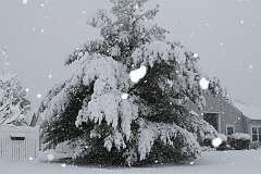 78: DonManfria_2025-316