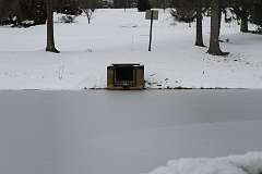 82: DonManfria_2025-320