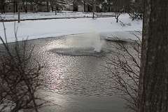 83: DonManfria_2025-321