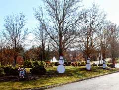 85: DonManfria_2025-323