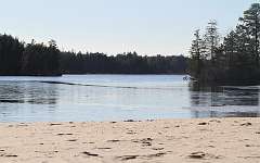 103: DonManfria_2025-341