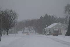 124: DonManfria_2026-11