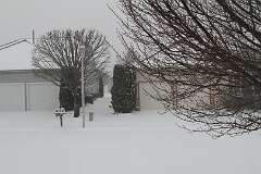 3: DonManfria_2026-12