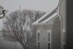 8: DonManfria_2026-14