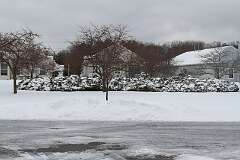 46: DonManfria_2026-22