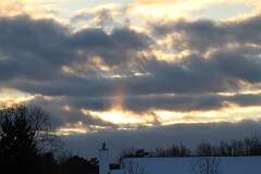 100: DonManfria_2026-25