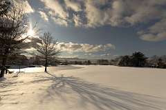 118: ErnieStandard_2025-23