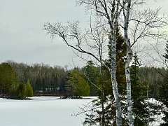 131: KathleenMiddleton_2025-4