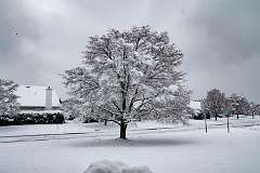 139: MarkShelly_2025-273