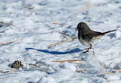 145: MarkShelly_2025-279