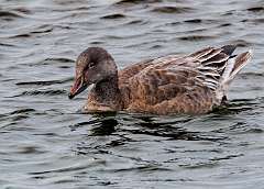 151: MarkShelly_2025-285