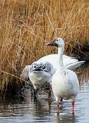 152: MarkShelly_2025-286