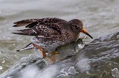 154: MarkShelly_2025-288