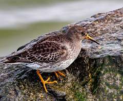 155: MarkShelly_2025-289