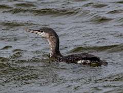 156: MarkShelly_2025-290