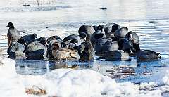 158: MarkShelly_2025-292