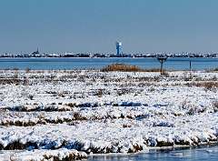 165: MarkShelly_2025-299