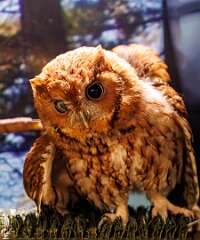 60: MarkShelly_2026-12